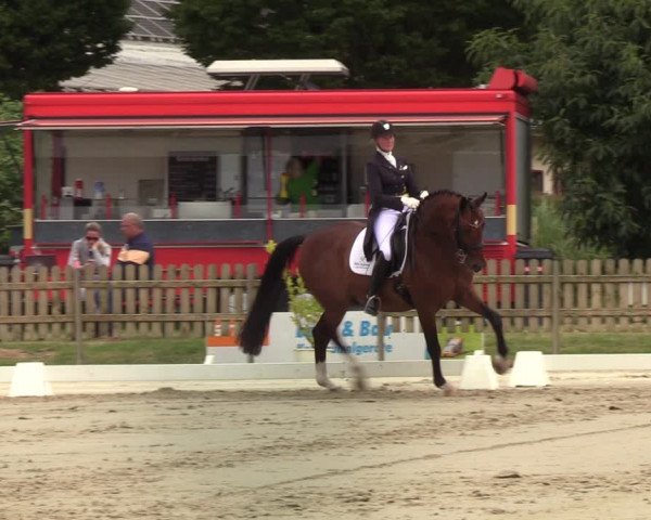 Reitturnier Schülp / Rendsburg 2022