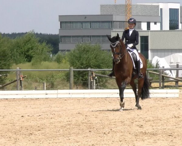 Reitturnier Biberach/Riß 2022
