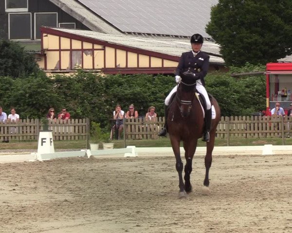 Reitturnier Schülp / Rendsburg 2022