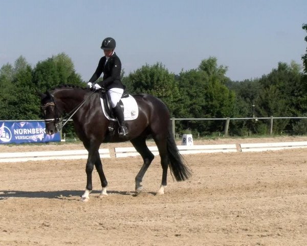 Reitturnier Biberach/Riß 2022