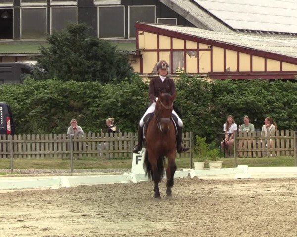 Reitturnier Schülp / Rendsburg 2022