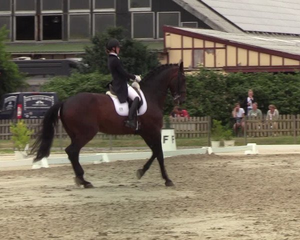 Reitturnier Schülp / Rendsburg 2022