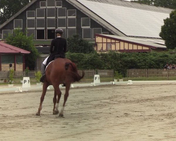 Reitturnier Schülp / Rendsburg 2022