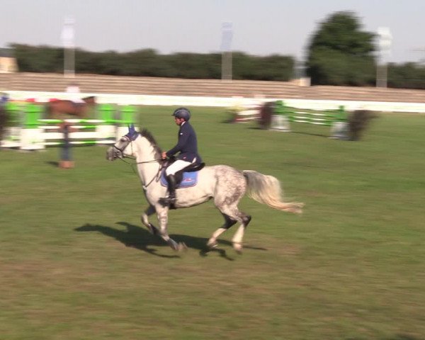 Reitturnier Baschütz bei Bautzen 2022