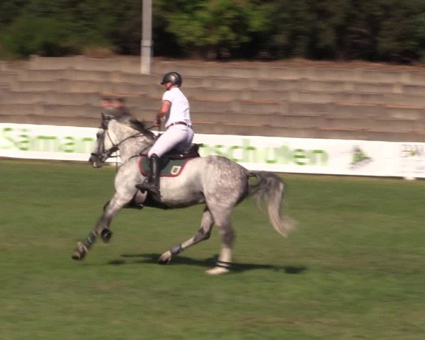 Reitturnier Baschütz bei Bautzen 2022