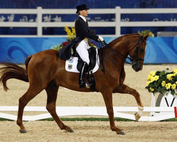 dressage horse Elvis VA (Hanoverian, 1996, from Espri)