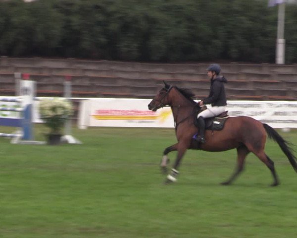 Reitturnier Baschütz bei Bautzen 2022