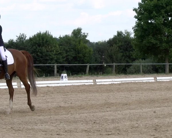 Reitturnier Biberach/Riß 2022