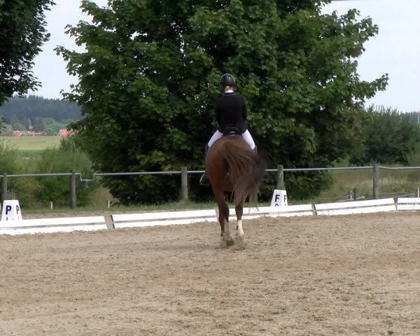 Reitturnier Biberach/Riß 2022