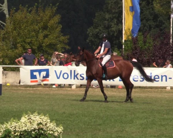 Reitturnier Baschütz bei Bautzen 2022
