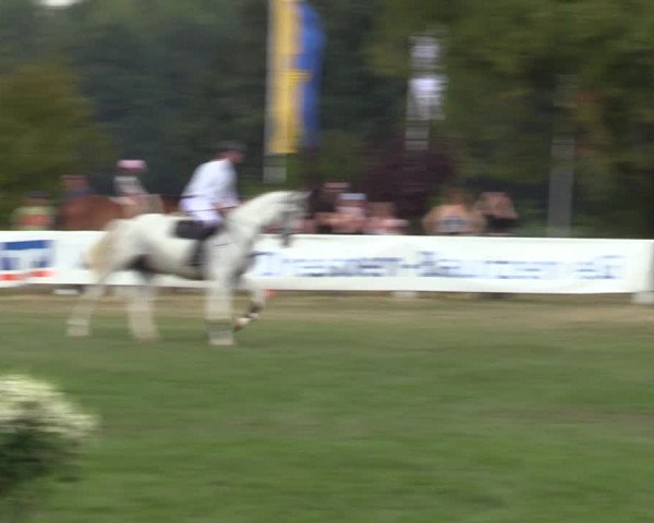 Reitturnier Baschütz bei Bautzen 2022