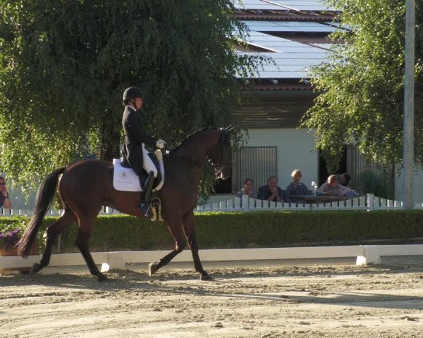 Reitturnier Neu-Anspach 2022