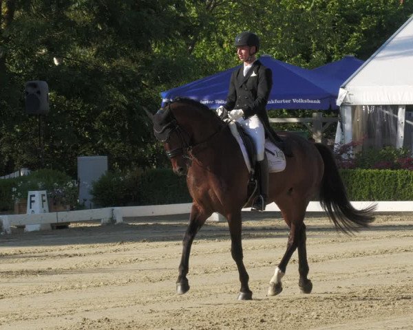 Reitturnier Neu-Anspach 2022