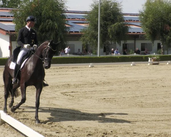 Reitturnier Neu-Anspach 2022
