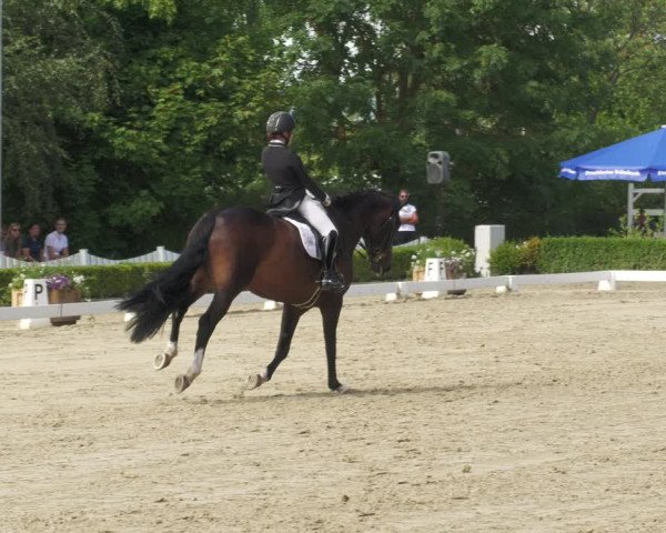 Reitturnier Neu-Anspach 2022