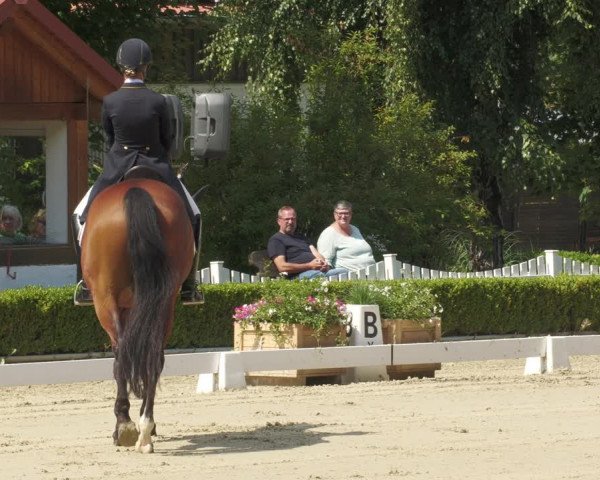 Reitturnier Neu-Anspach 2022