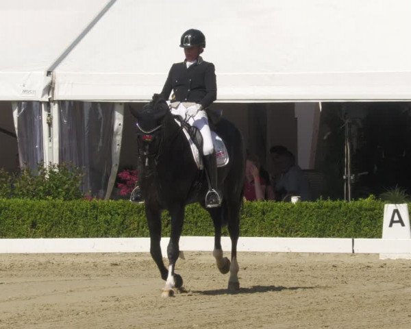 Reitturnier Neu-Anspach 2022