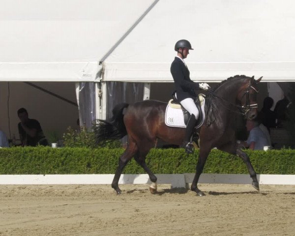 Reitturnier Neu-Anspach 2022