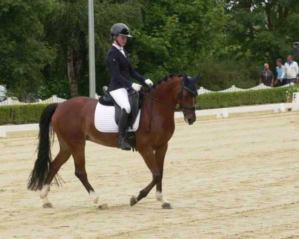 Reitturnier Neu-Anspach 2022