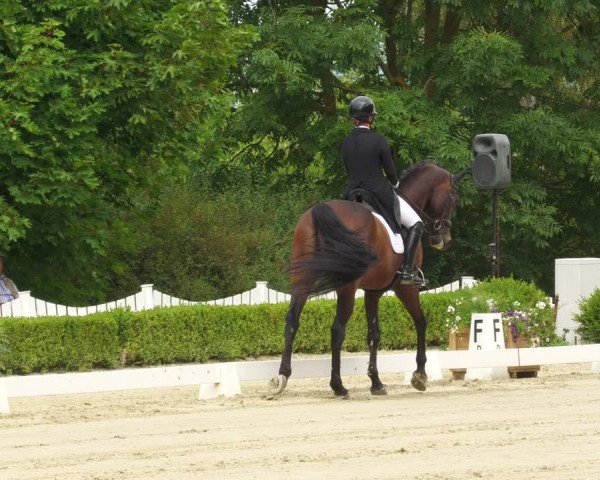 Reitturnier Neu-Anspach 2022