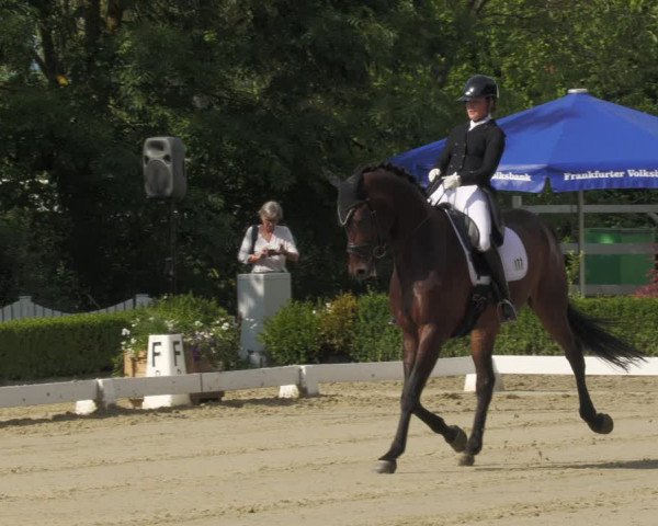 Reitturnier Neu-Anspach 2022