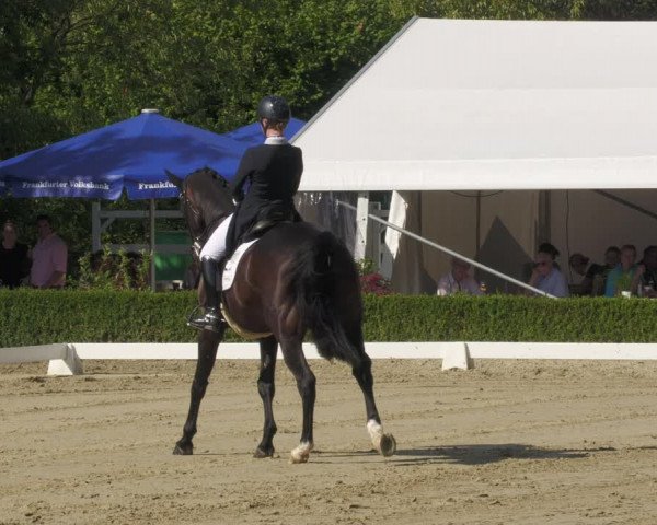 Reitturnier Neu-Anspach 2022