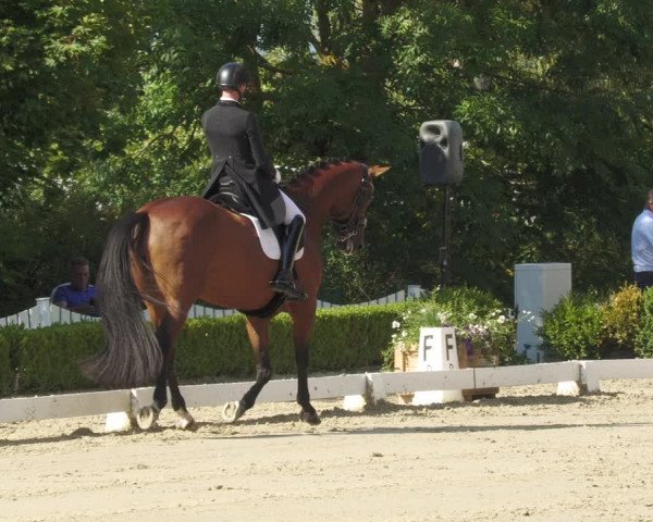 Reitturnier Neu-Anspach 2022