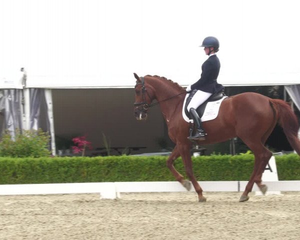 Reitturnier Neu-Anspach 2022