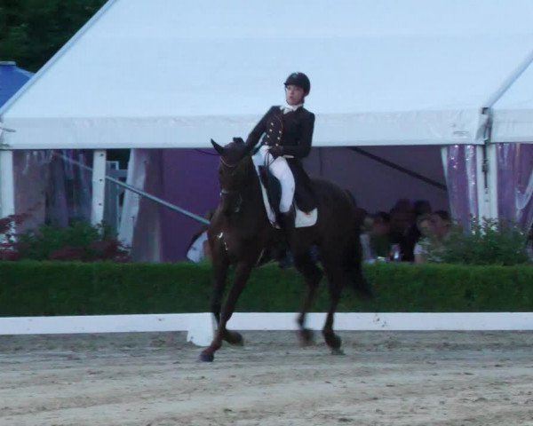 Reitturnier Neu-Anspach 2022