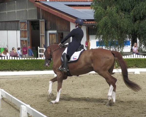 Reitturnier Neu-Anspach 2022