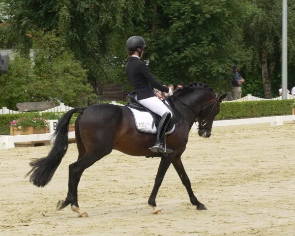 Reitturnier Neu-Anspach 2022