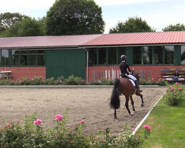Reitturnier Schwanewede  2022