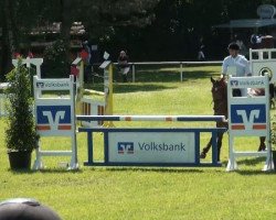 jumper Con Land (Oldenburg show jumper, 2006, from Con Air)