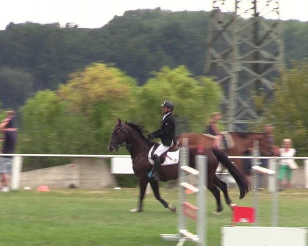 Reitturnier Baschütz bei Bautzen 2022