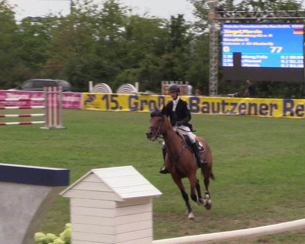 Reitturnier Baschütz bei Bautzen 2022