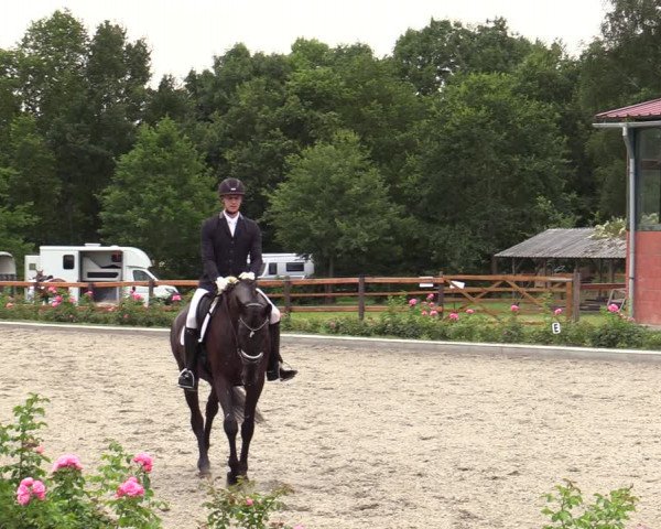 Reitturnier Schwanewede  2022