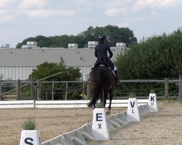 Reitturnier Biberach/Riß 2022
