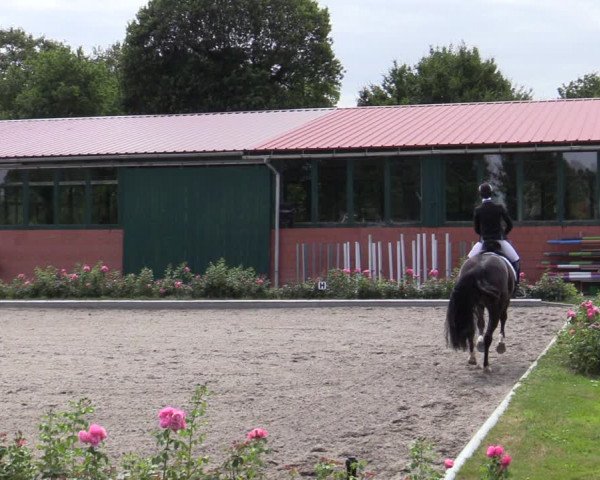 Reitturnier Schwanewede  2022