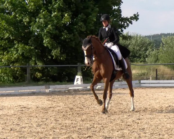 Reitturnier Biberach/Riß 2022