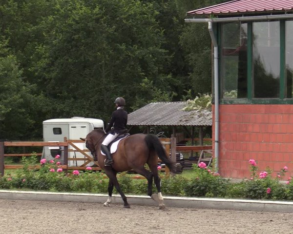 Reitturnier Schwanewede  2022