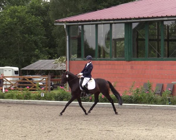 Reitturnier Schwanewede  2022