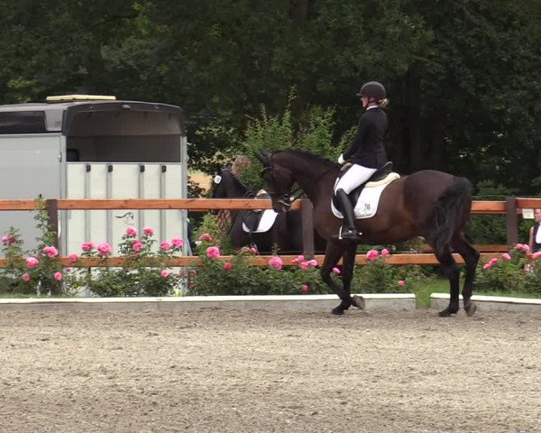 Reitturnier Schwanewede  2022