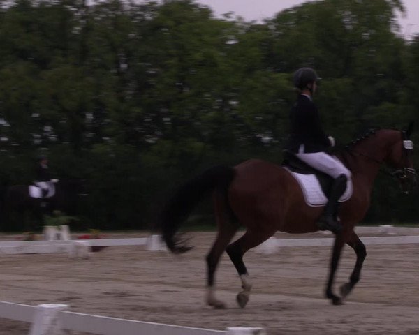 Reitturnier Baschütz bei Bautzen 2022