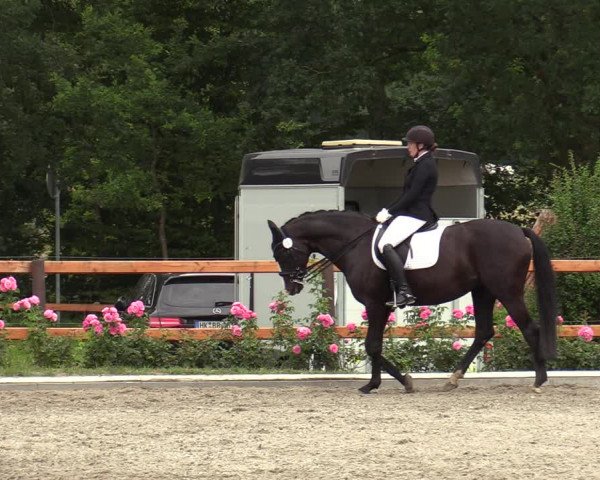 Reitturnier Schwanewede  2022
