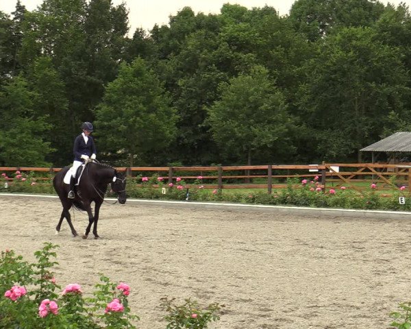 Reitturnier Schwanewede  2022