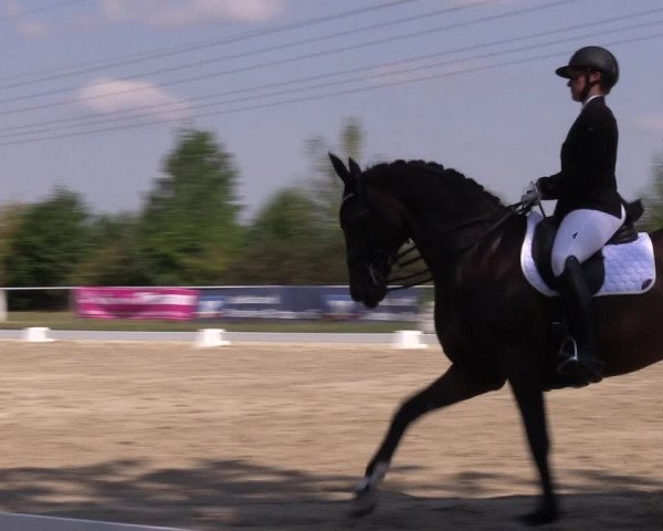 Reitturnier Baschütz bei Bautzen 2022