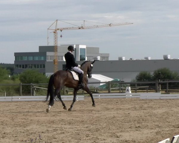 Reitturnier Biberach/Riß 2022