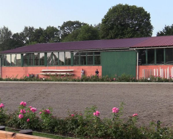 Reitturnier Schwanewede  2022
