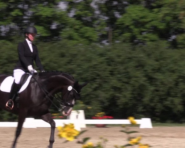 Reitturnier Baschütz bei Bautzen 2022