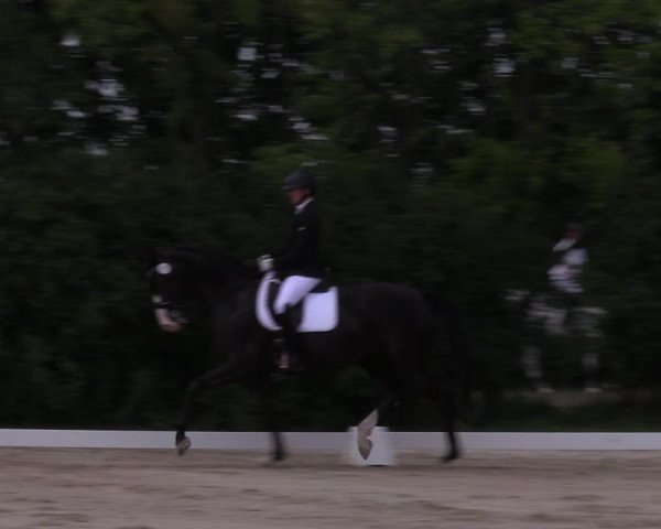 Reitturnier Baschütz bei Bautzen 2022